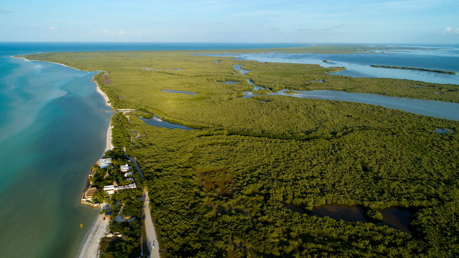 An aerial view of predominantly wild Isla Holbox with its small beachfront town of Holbox.