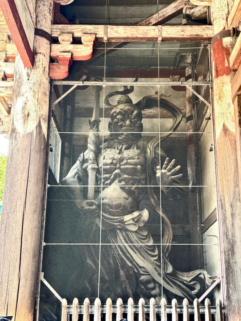 One of the two 12th century Guardian Kings at the Nandaimon Gate is protected by wire mesh.
