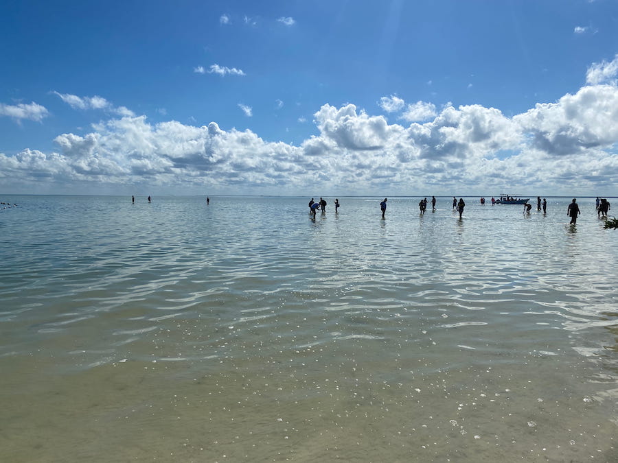 Visitors wading in the glassy waters off of Isla de la Pasion.