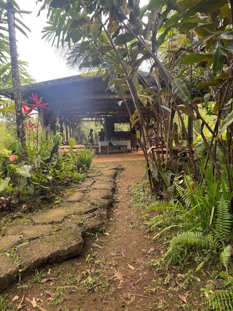 A path leading to a wood framed open air pavilion, where a Martinique farm to table meal with Cheffe Sterelle is set, right on the farm.
