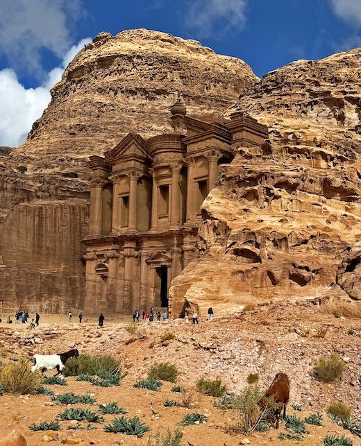 Goats, donkeys, and visitors wander around in front of Ad-Dayr.