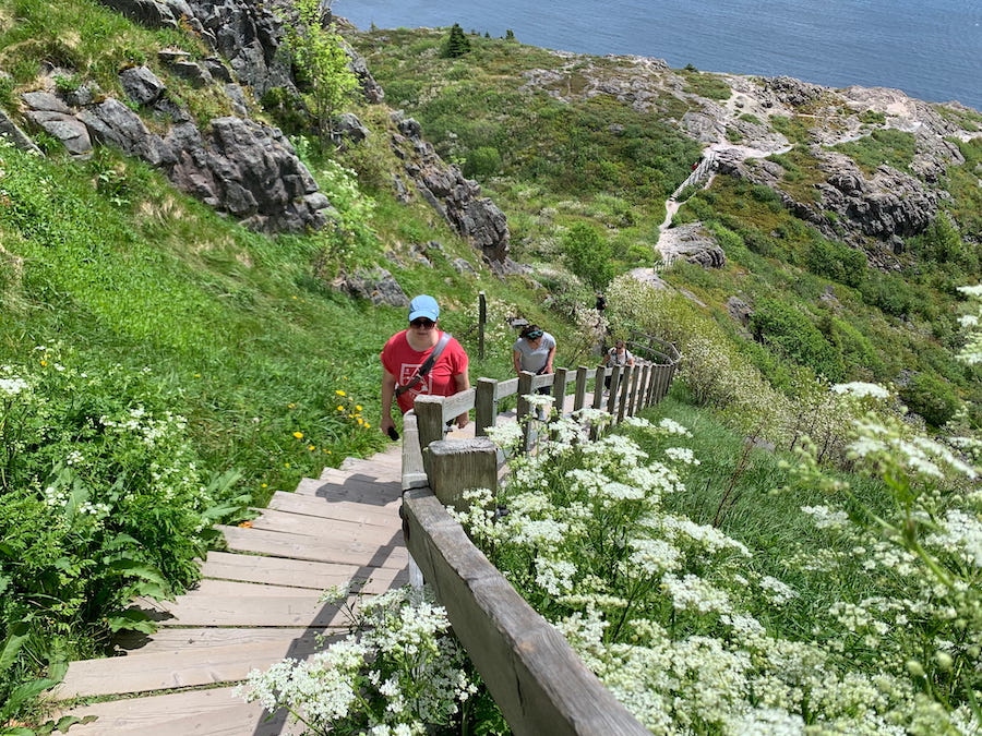Sunny day filled with greenery and flowers, hiking up the steps to Signal Hill.