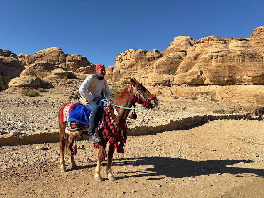 Man on a colourfully draped horse in the desert.