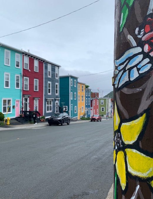 A dragonfly painted telephone post across from the colourfully painted homes of Jellybean Row.