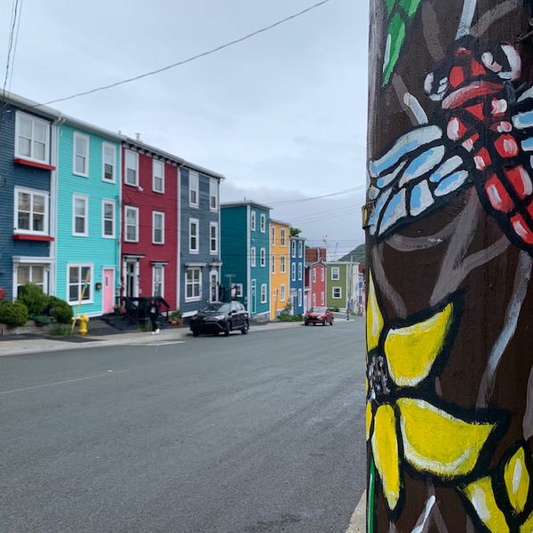 A dragonfly painted telephone post across from the colourfully painted homes of Jellybean Row.