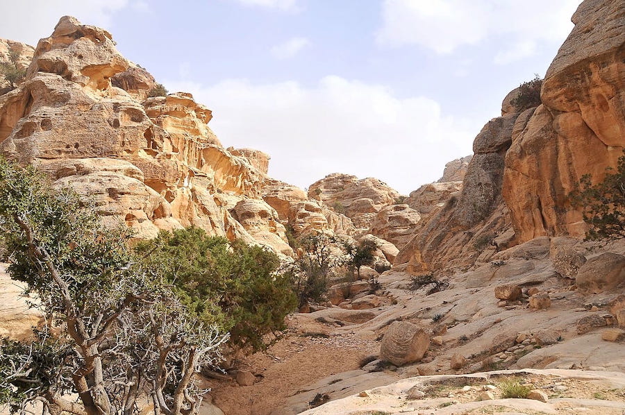 Bizarre rock formations along the Little Petra Canyon Trail.