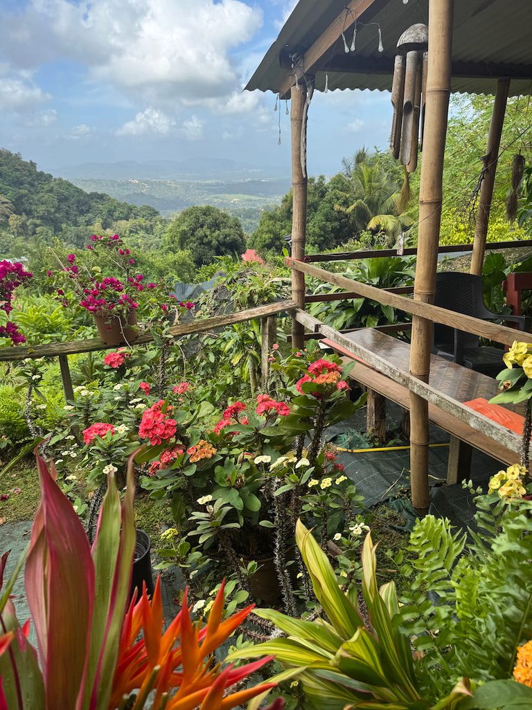 Gazing over Martinique from next to the beautiful whimsy of the veranda at Le Jardin de la Montagne.
