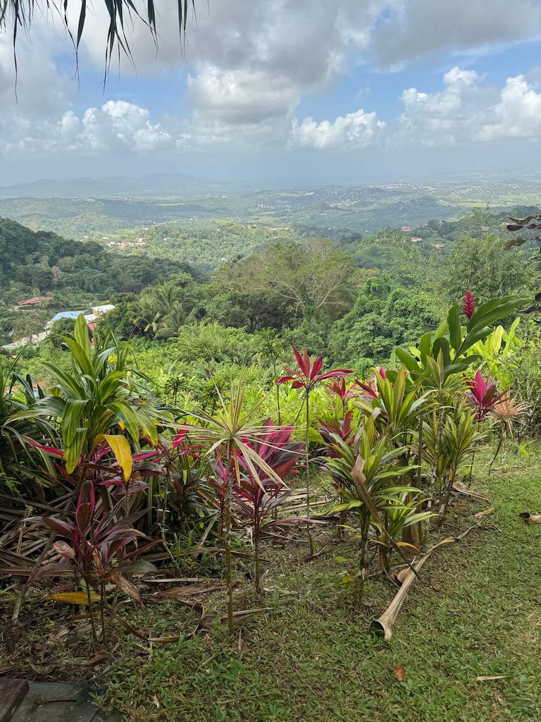 Enjoying the view from Jardin de la Montagne, one of the highest points on Martinique.